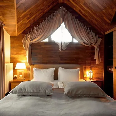 Aparthotel Mountain & *